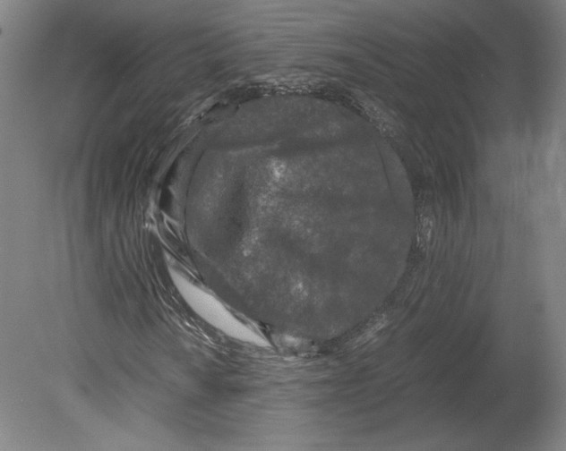 X0000080161010200701051559