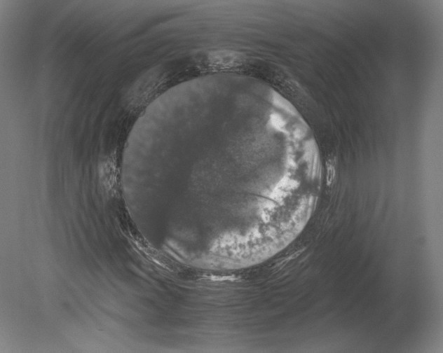 X0000080161011200701051559