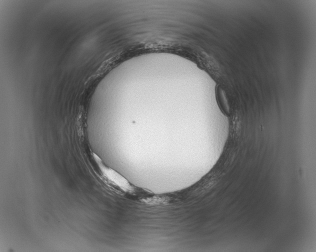 X0000080161012200701051559