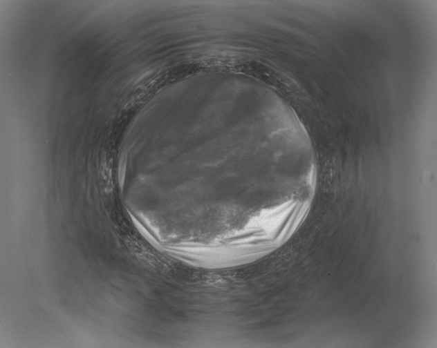 X0000080161013200701051559