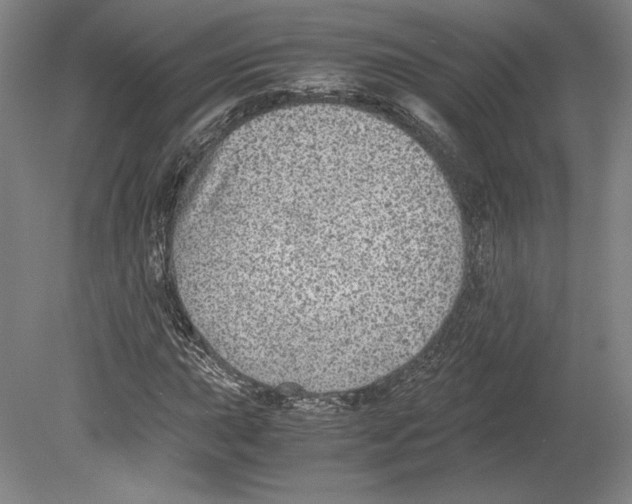 X0000080161015200701051559