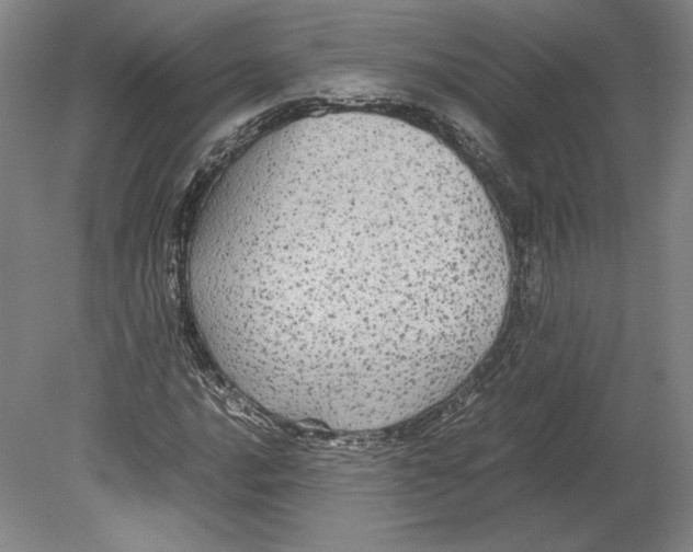 X0000080161016200701051559