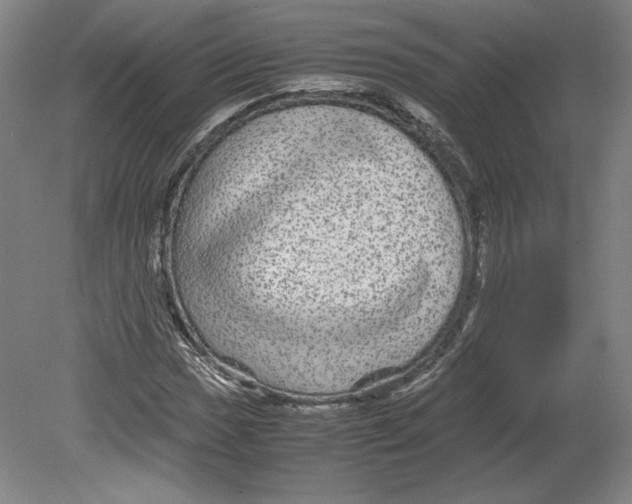 X0000080161017200701051600