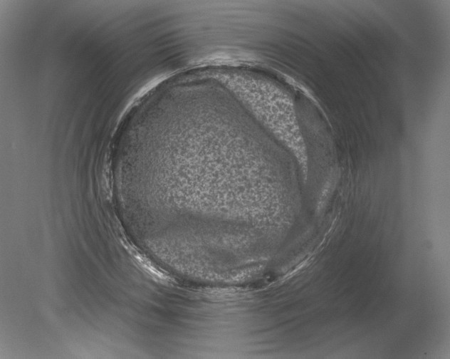 X0000080161018200701051600