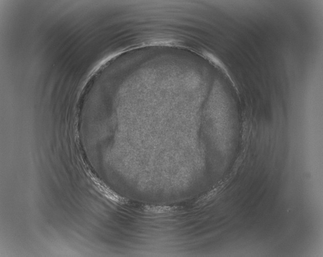 X0000080161019200701051600