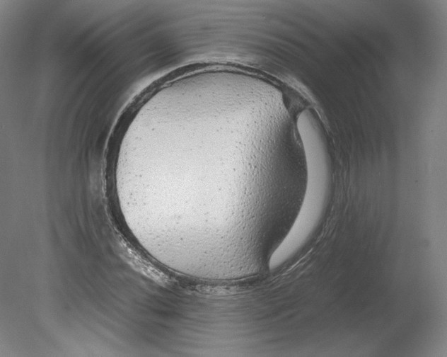 X0000080161020200701051600