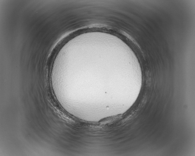 X0000080161021200701051600