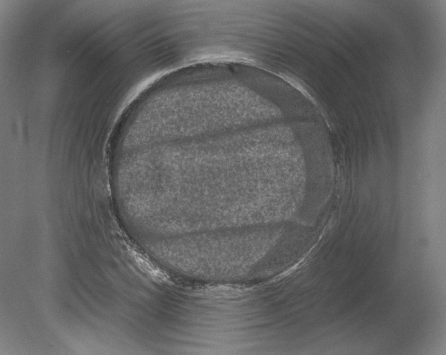 X0000080161022200701051600