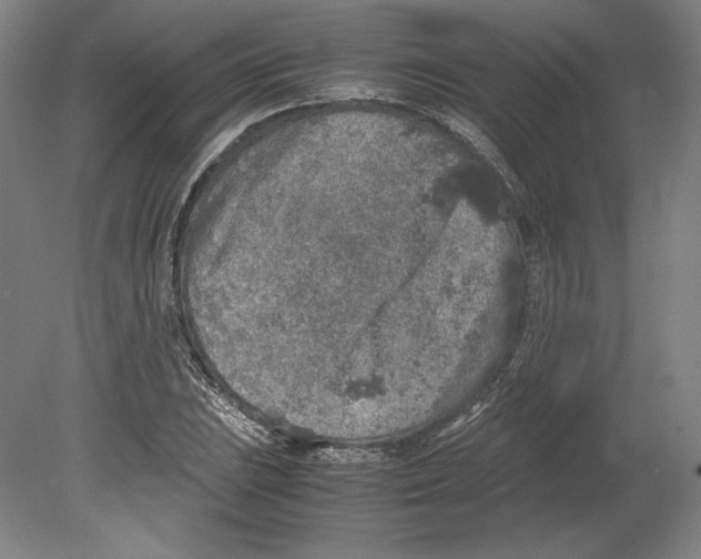 X0000080161023200701051600