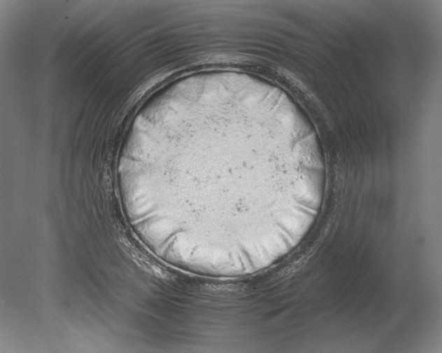 X0000080161025200701051600