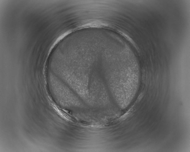 X0000080161026200701051600