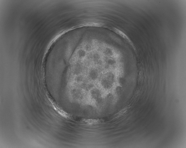 X0000080161027200701051600