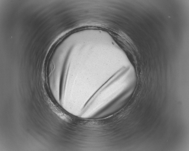 X0000080161028200701051600