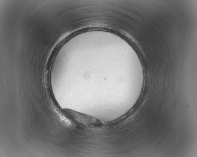 X0000080161029200701051600