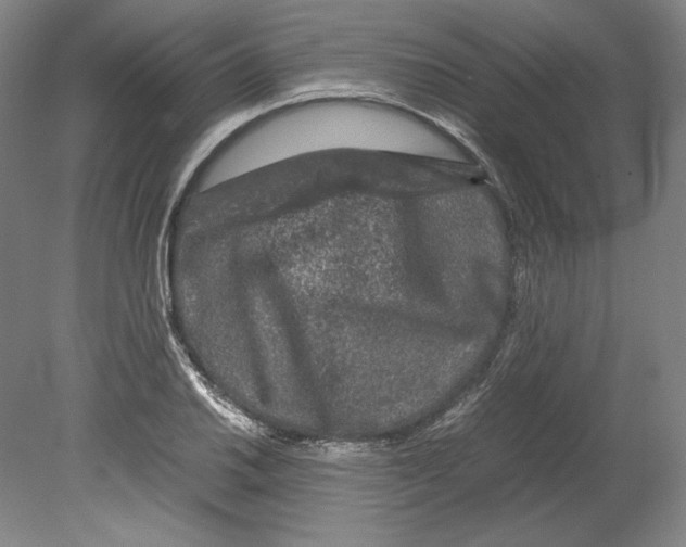 X0000080161030200701051600