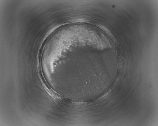 X0000080161031200701051600