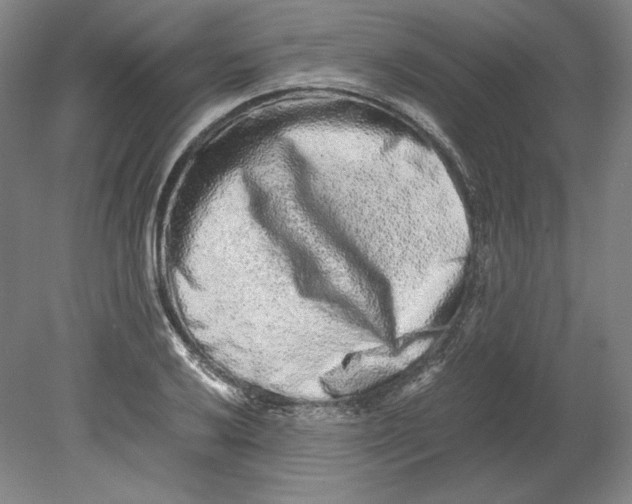 X0000080161032200701051600