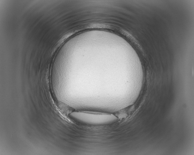 X0000080161033200701051600