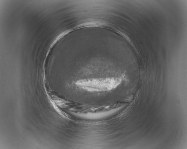 X0000080161034200701051600