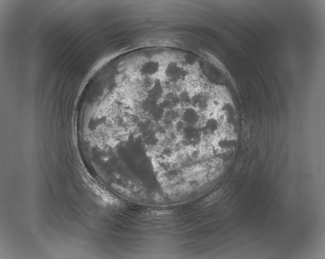 X0000080161035200701051600