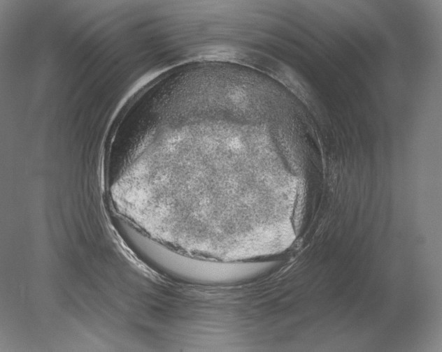 X0000080161036200701051600