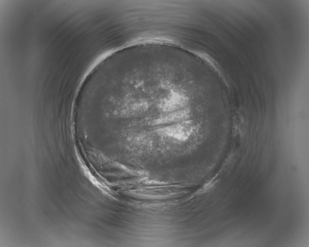 X0000080161038200701051600