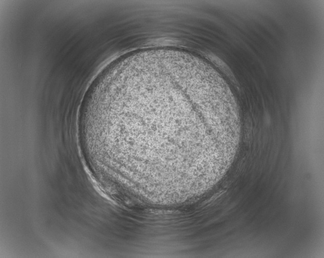 X0000080161039200701051600