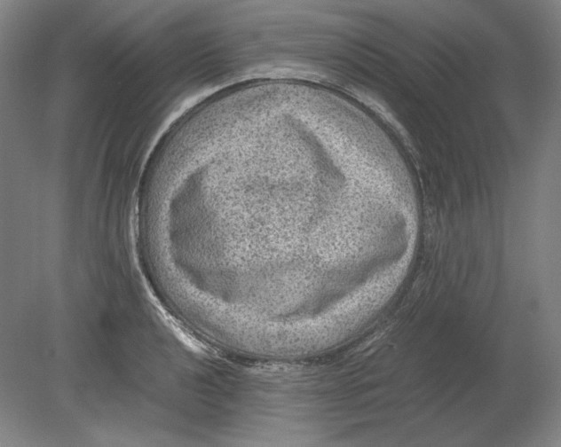 X0000080161040200701051600