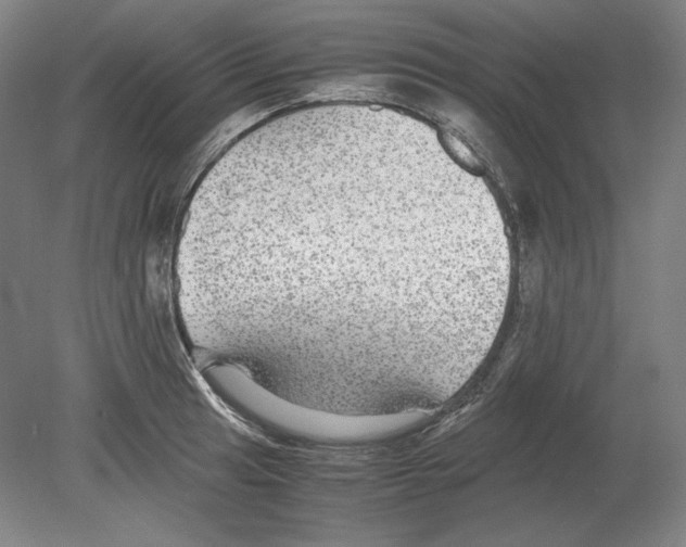 X0000080161041200701051600