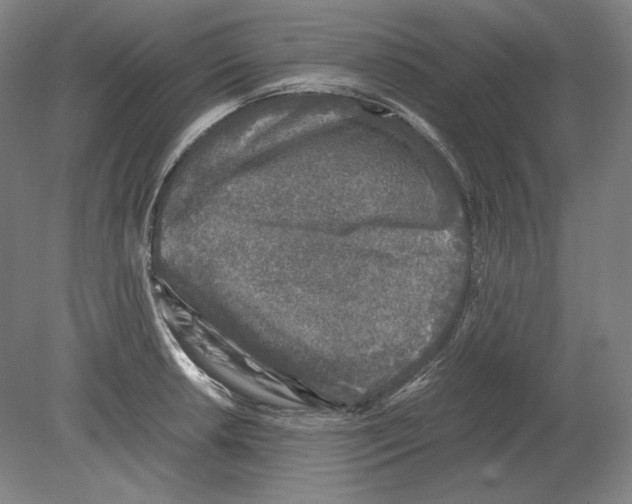 X0000080161042200701051600