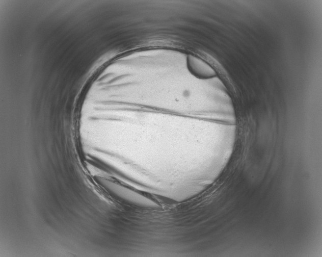 X0000080161043200701051600