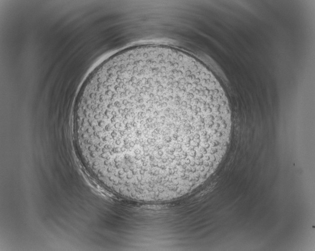 X0000080161044200701051600