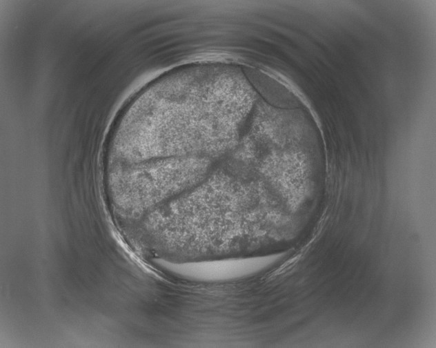 X0000080161045200701051600