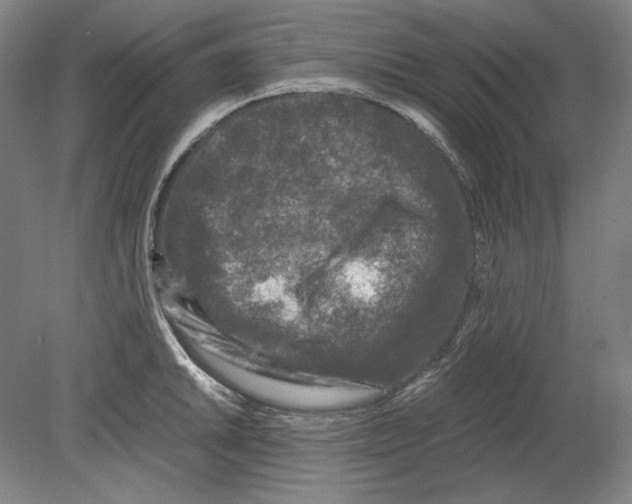 X0000080161046200701051600