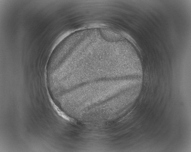 X0000080161047200701051600