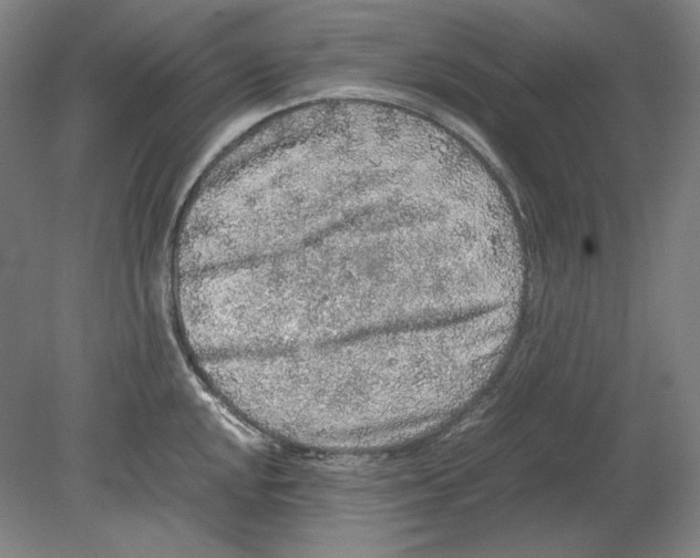 X0000080161048200701051600