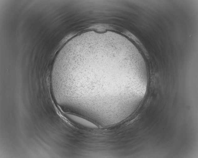 X0000080161049200701051600