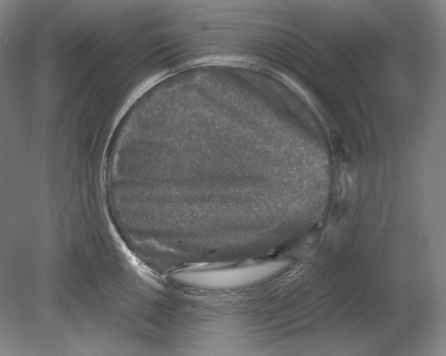 X0000080161050200701051600