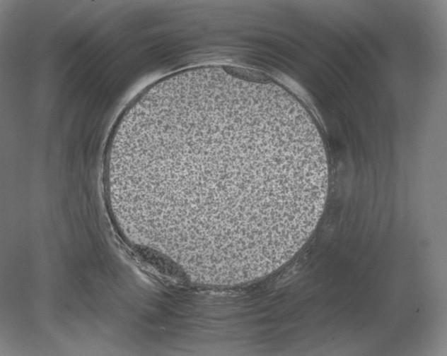 X0000080161051200701051600