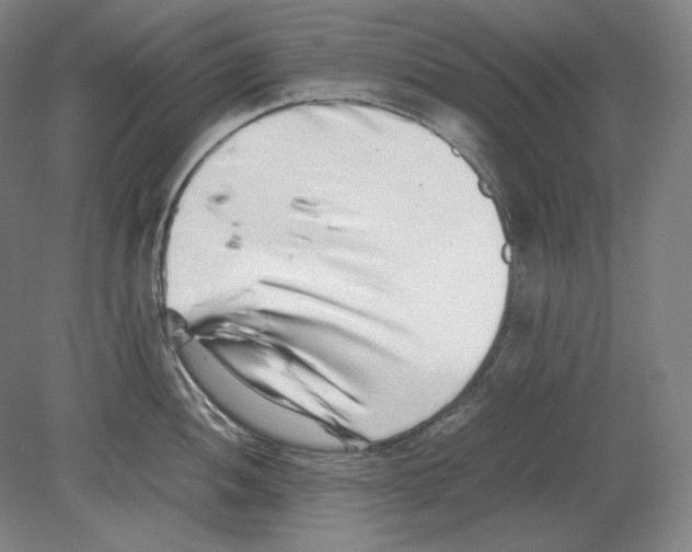 X0000080161052200701051600