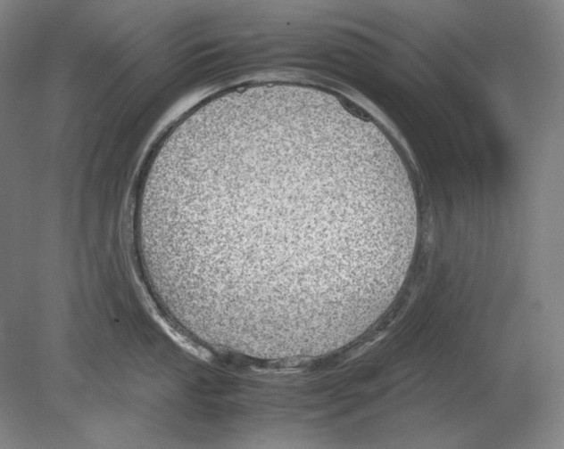 X0000080161053200701051600