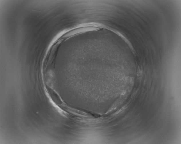 X0000080161054200701051600