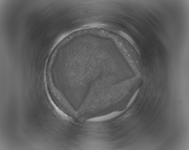 X0000080161055200701051600