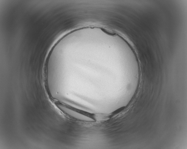 X0000080161056200701051600