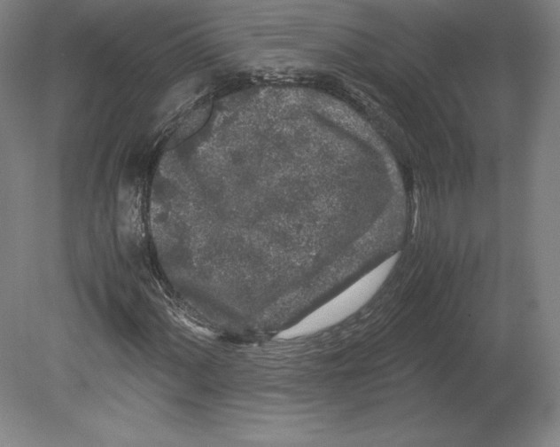 X0000080161060200701051559