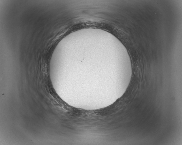 X0000080161061200701051559