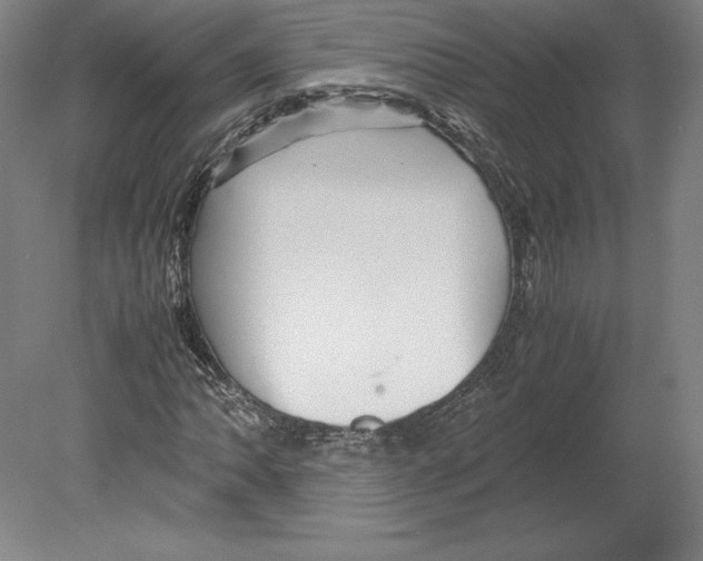 X0000080161062200701051559