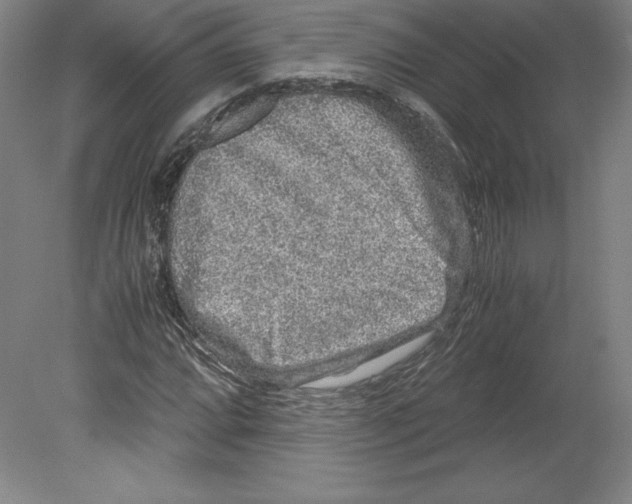 X0000080161064200701051559