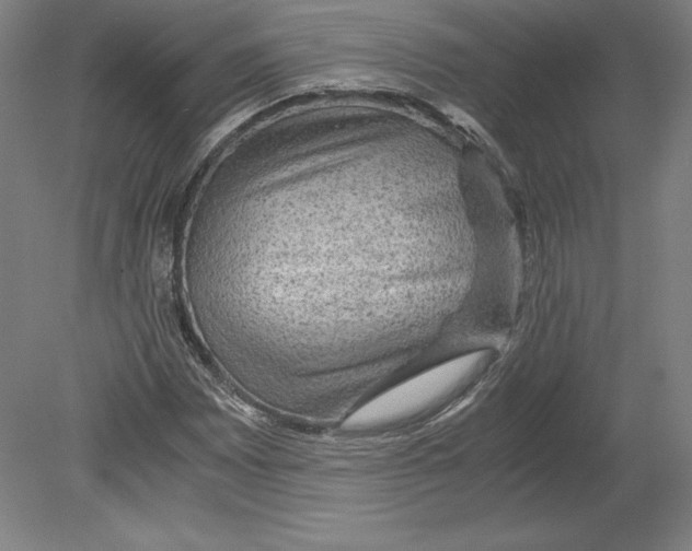 X0000080161065200701051559