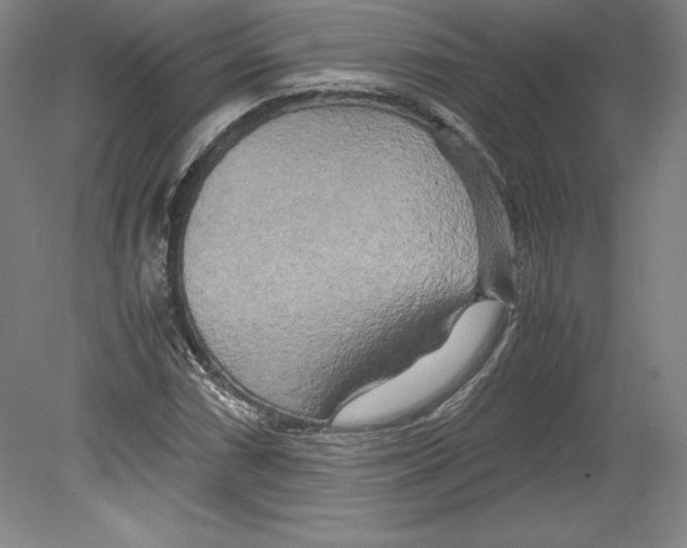 X0000080161066200701051559